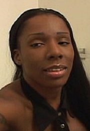Domino Knoxx